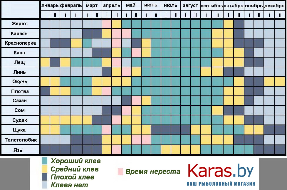 клев карася в подмосковье календарь клев карася в подмосковье календарь